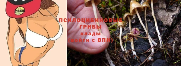 сатива Кодинск