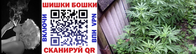 Купить закладки  Благодарный  Бошки Шишки MAZAR 